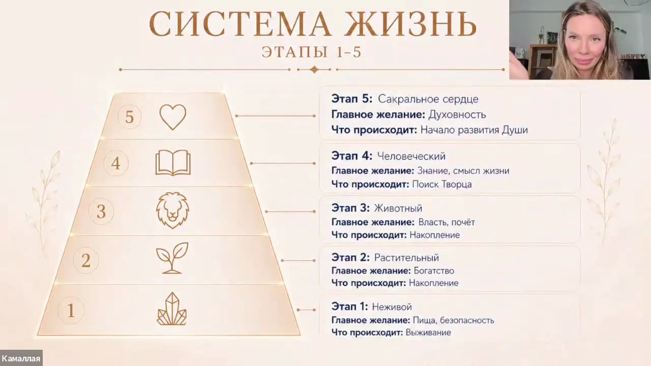 Кадр занятия: Этапы развития и смысл пробуждения